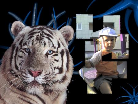 VOILA FABIEN SUR UN FOND ECRAN AVEC UN TIGRE