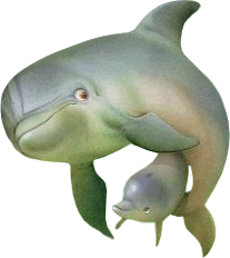 gif dauphin 