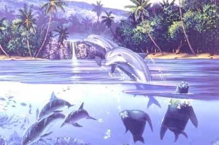 encore des  dauphins
