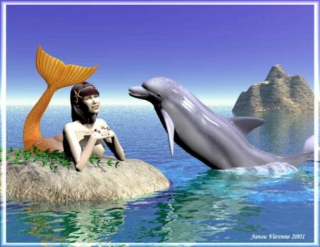 voila un fond ecran dauphin